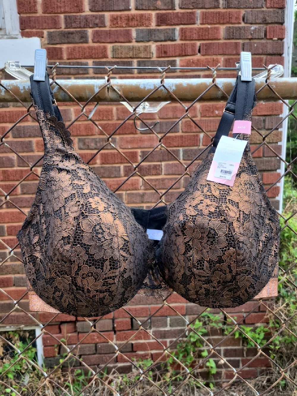 NWT Cacique Black Bronze Lace Floral Full Coverage Bra 44DD